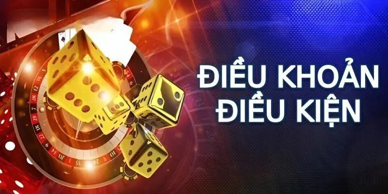 Điều khoản hoạt động và yếu tố bạn nên biết