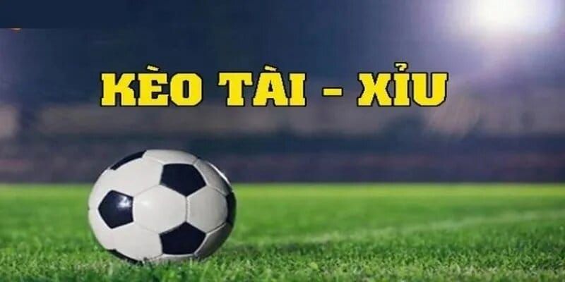 Tổng quan về kèo tài xỉu